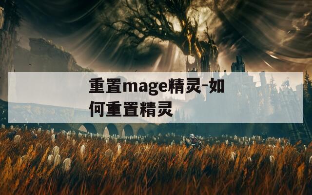 重置mage精灵-如何重置精灵