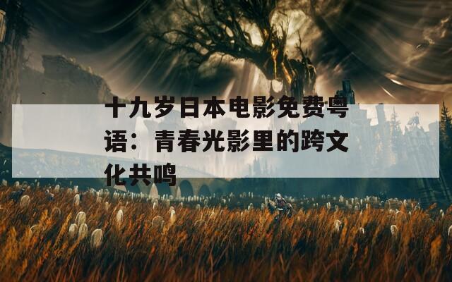 十九岁日本电影免费粤语：青春光影里的跨文化共鸣