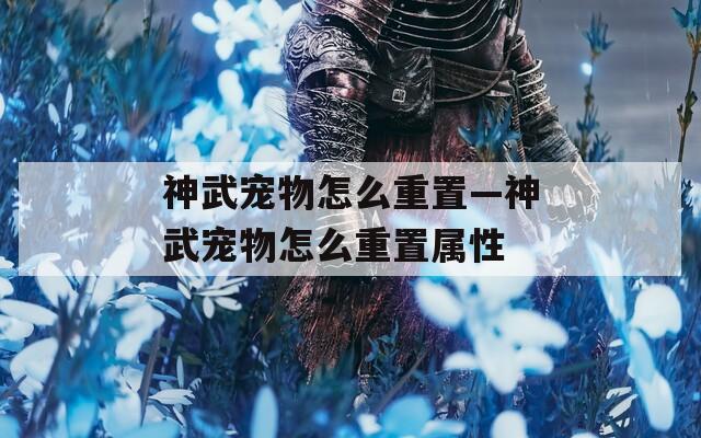 神武宠物怎么重置—神武宠物怎么重置属性