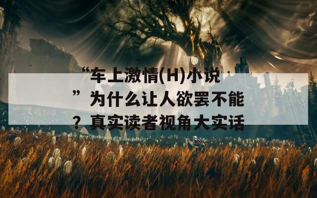 “车上激情(H)小说”为什么让人欲罢不能？真实读者视角大实话