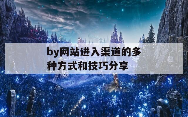 by网站进入渠道的多种方式和技巧分享