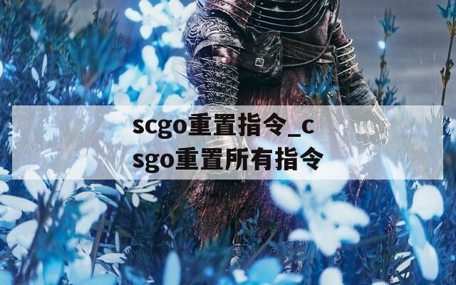 scgo重置指令_csgo重置所有指令