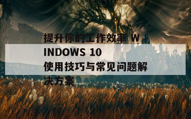 提升你的工作效率 WINDOWS 10 使用技巧与常见问题解决方案