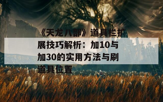 《天龙八部》道具栏扩展技巧解析：加10与加30的实用方法与刷道具位置