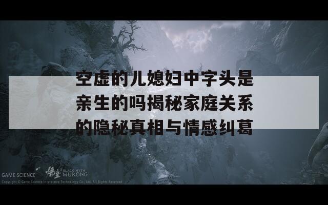 空虚的儿媳妇中字头是亲生的吗揭秘家庭关系的隐秘真相与情感纠葛