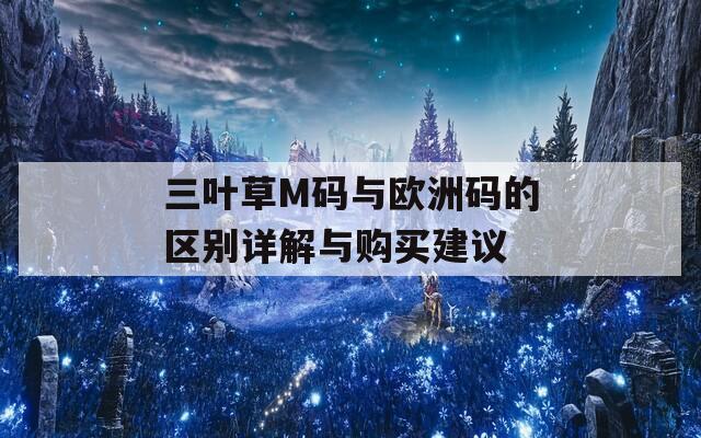 三叶草M码与欧洲码的区别详解与购买建议