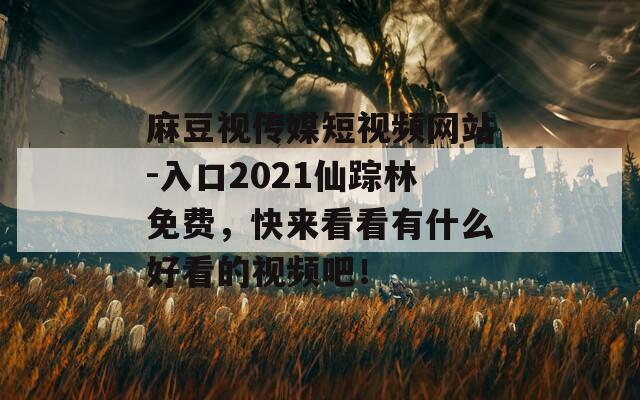 麻豆视传媒短视频网站-入口2021仙踪林免费，快来看看有什么好看的视频吧！