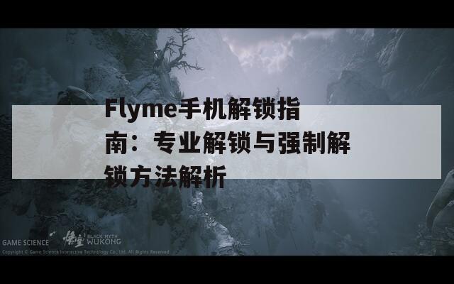 Flyme手机解锁指南：专业解锁与强制解锁方法解析