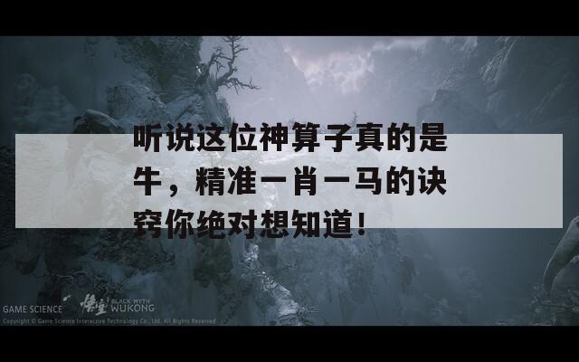 听说这位神算子真的是牛，精准一肖一马的诀窍你绝对想知道！