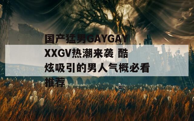 国产猛男GAYGAYXXGV热潮来袭 酷炫吸引的男人气概必看推荐