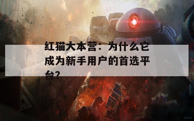红猫大本营：为什么它成为新手用户的首选平台？