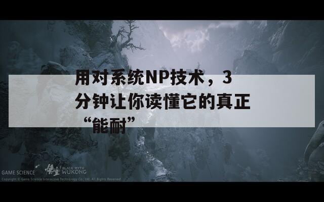 用对系统NP技术，3分钟让你读懂它的真正“能耐”