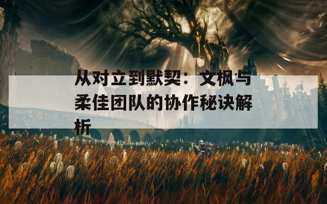 从对立到默契：文枫与柔佳团队的协作秘诀解析