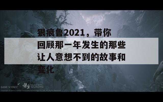 狠痕鲁2021，带你回顾那一年发生的那些让人意想不到的故事和变化