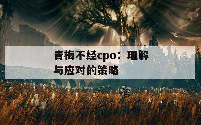 青梅不经cpo：理解与应对的策略