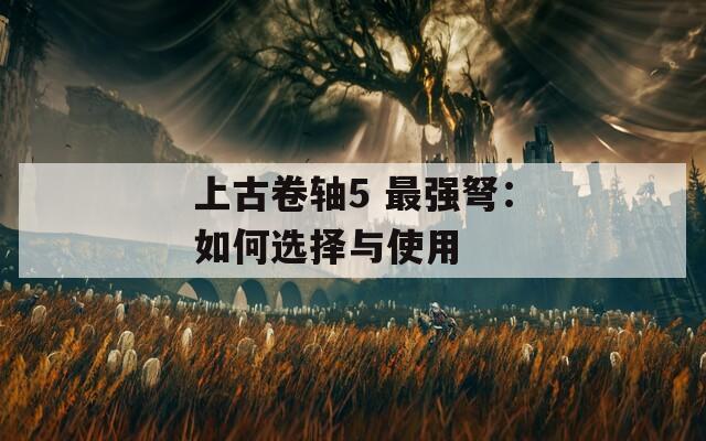 上古卷轴5 最强弩：如何选择与使用