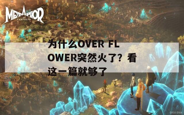 为什么OVER FLOWER突然火了？看这一篇就够了