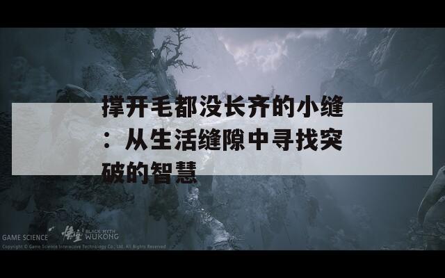 撑开毛都没长齐的小缝：从生活缝隙中寻找突破的智慧