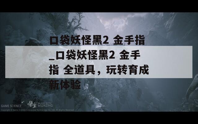 口袋妖怪黑2 金手指_口袋妖怪黑2 金手指 全道具，玩转育成新体验