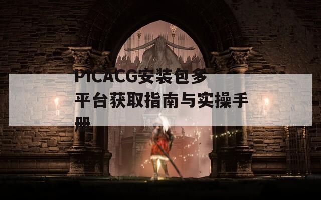 PICACG安装包多平台获取指南与实操手册