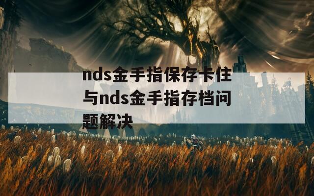 nds金手指保存卡住与nds金手指存档问题解决