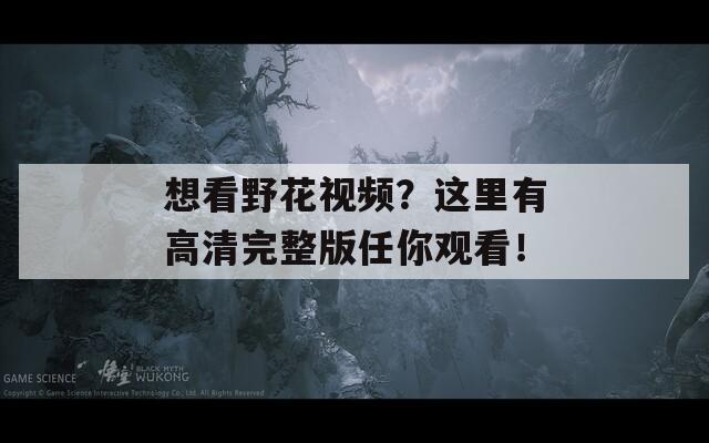 想看野花视频？这里有高清完整版任你观看！