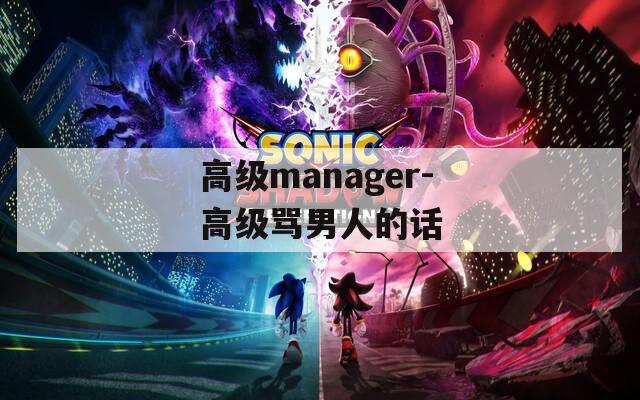 高级manager-高级骂男人的话