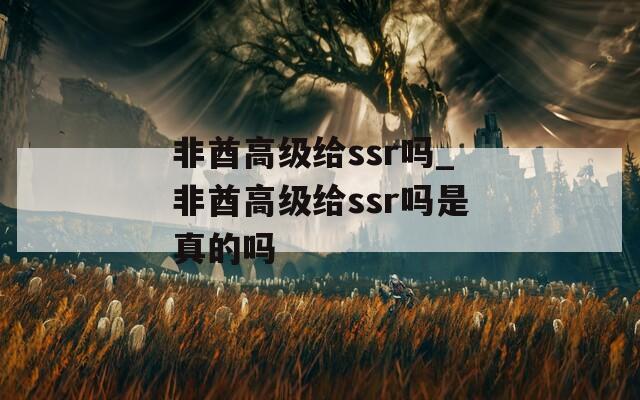 非酋高级给ssr吗_非酋高级给ssr吗是真的吗