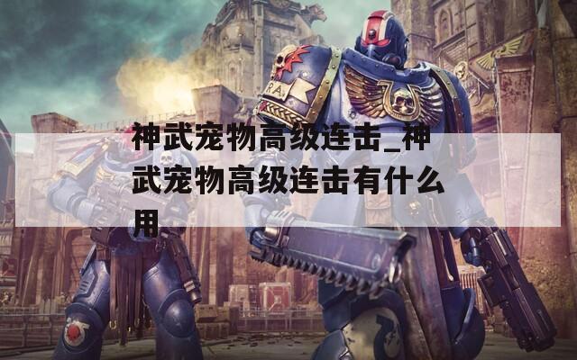 神武宠物高级连击_神武宠物高级连击有什么用