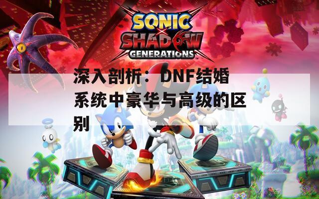 深入剖析：DNF结婚系统中豪华与高级的区别