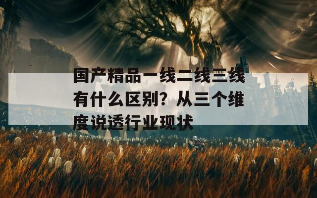 国产精品一线二线三线有什么区别？从三个维度说透行业现状