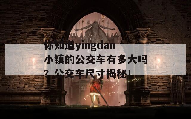 你知道yingdan小镇的公交车有多大吗？公交车尺寸揭秘！