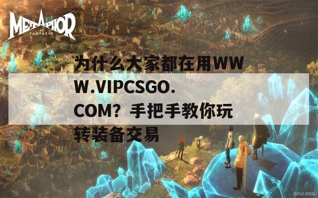 为什么大家都在用WWW.VIPCSGO.COM？手把手教你玩转装备交易