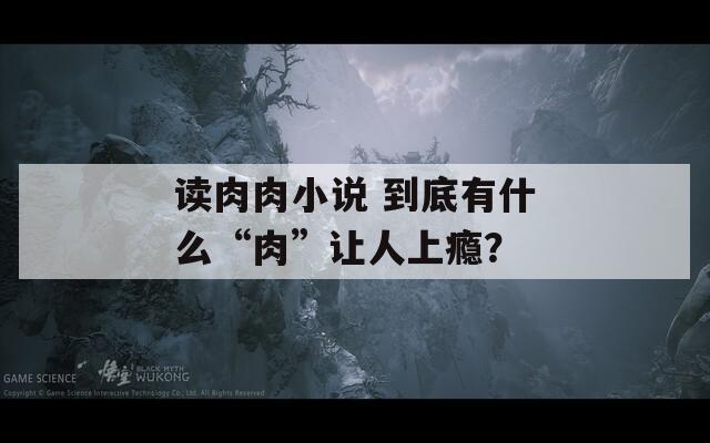 读肉肉小说 到底有什么“肉”让人上瘾？