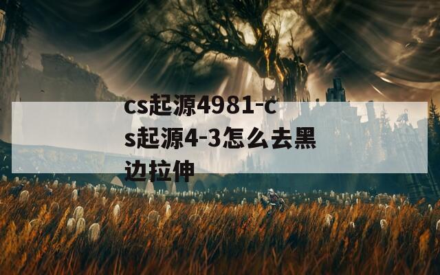 cs起源4981-cs起源4-3怎么去黑边拉伸