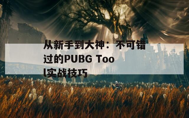 从新手到大神：不可错过的PUBG Tool实战技巧