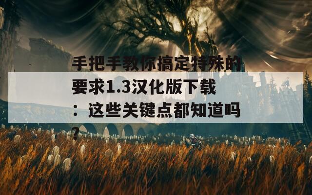 手把手教你搞定特殊的要求1.3汉化版下载：这些关键点都知道吗？