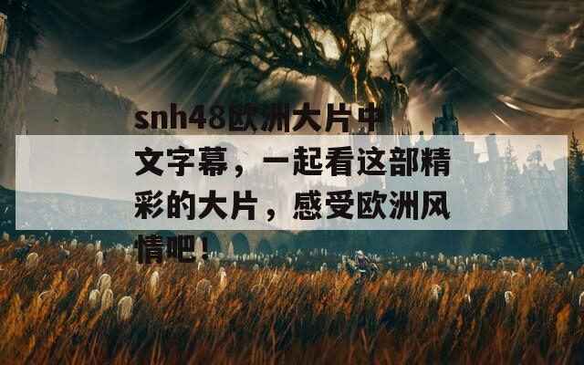 snh48欧洲大片中文字幕，一起看这部精彩的大片，感受欧洲风情吧！