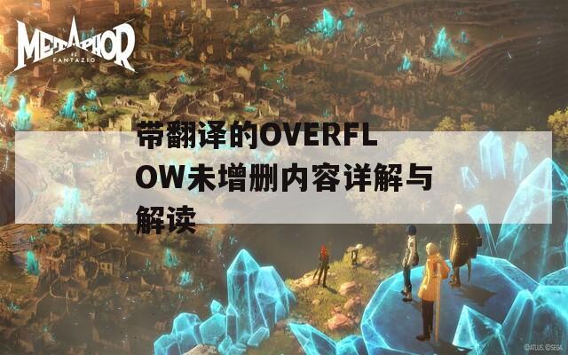 带翻译的OVERFLOW未增删内容详解与解读