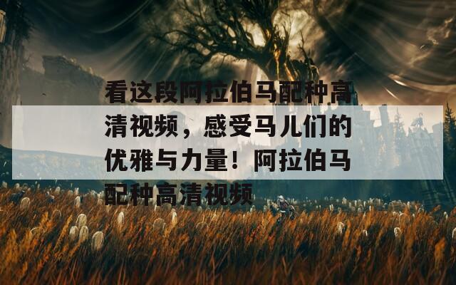 看这段阿拉伯马配种高清视频，感受马儿们的优雅与力量！阿拉伯马配种高清视频