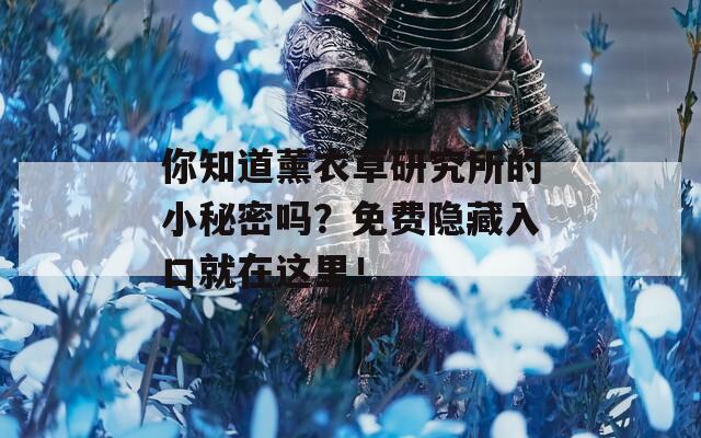 你知道薰衣草研究所的小秘密吗？免费隐藏入口就在这里！