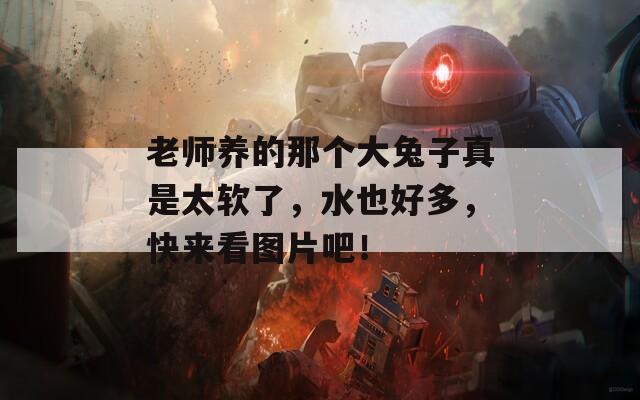 老师养的那个大兔子真是太软了，水也好多，快来看图片吧！