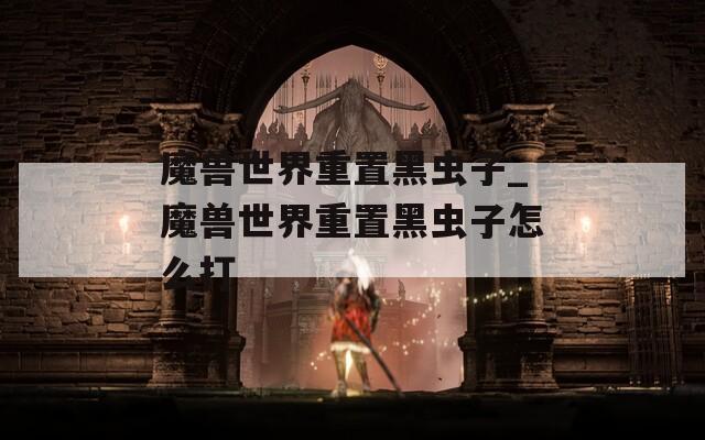 魔兽世界重置黑虫子_魔兽世界重置黑虫子怎么打