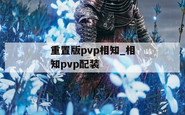 重置版pvp相知_相知pvp配装