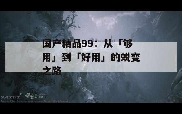国产精品99：从「够用」到「好用」的蜕变之路