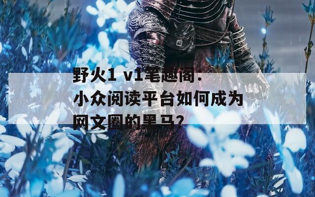 野火1 v1笔趣阁：小众阅读平台如何成为网文圈的黑马？