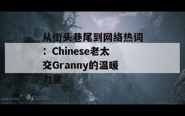 从街头巷尾到网络热词：Chinese老太交Granny的温暖力量