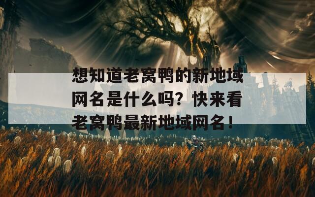 想知道老窝鸭的新地域网名是什么吗？快来看老窝鸭最新地域网名！