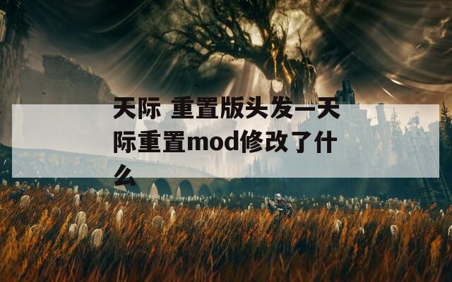 天际 重置版头发—天际重置mod修改了什么