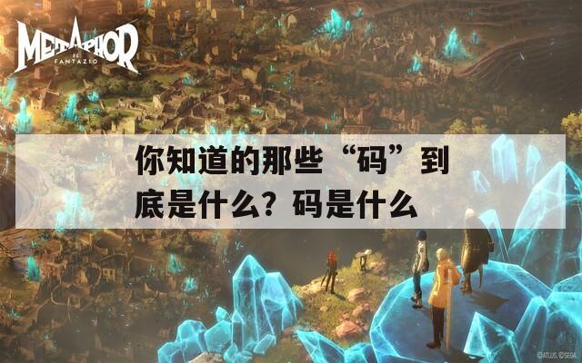 你知道的那些“码”到底是什么？码是什么